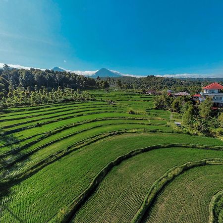 Candra Cottage Munduk Kültér fotó