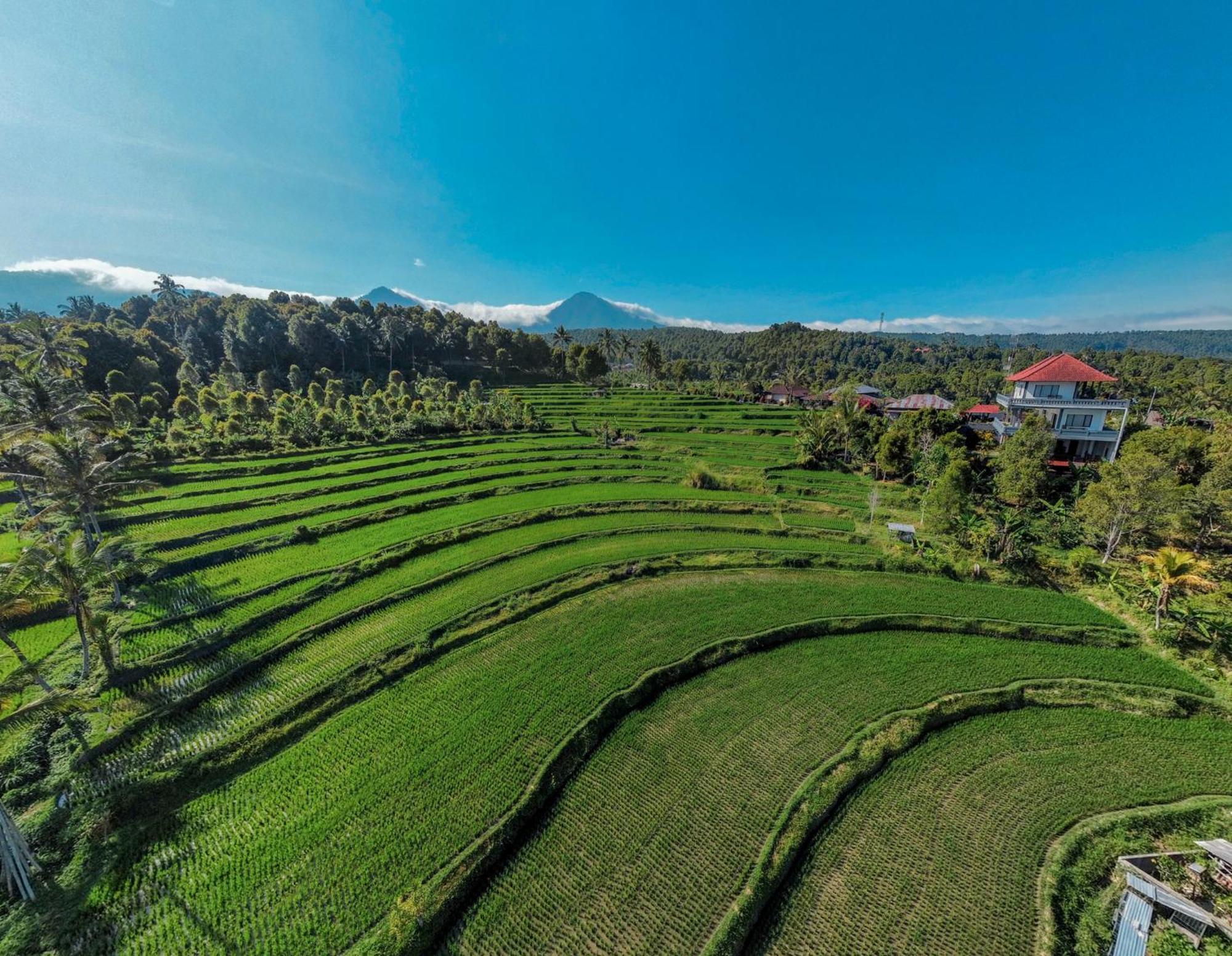 Candra Cottage Munduk Kültér fotó